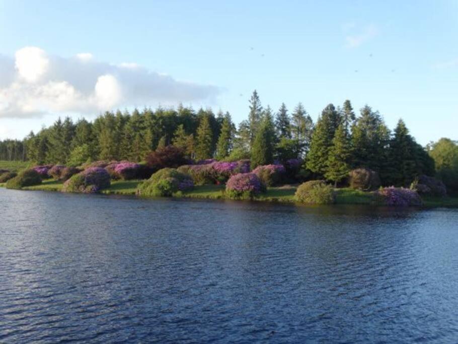 The Dairy - Quaint 1Br In Dartmoor National Park Villa Hennock Buitenkant foto