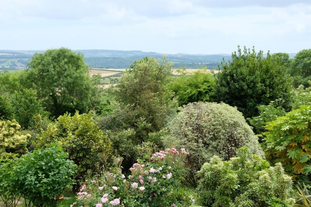 The Dairy - Quaint 1Br In Dartmoor National Park Villa Hennock Buitenkant foto